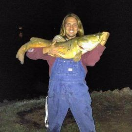 CatFish